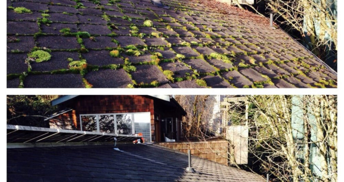 Roof Moss Removal Woodinville Wa