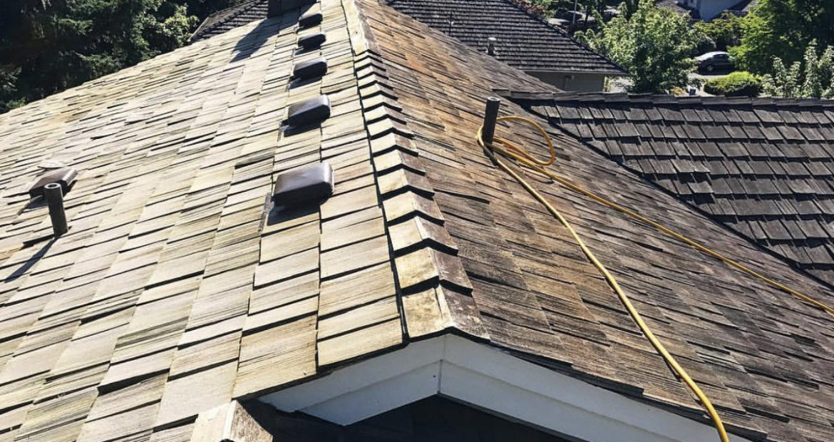 Roof Moss Removal Woodinville Wa