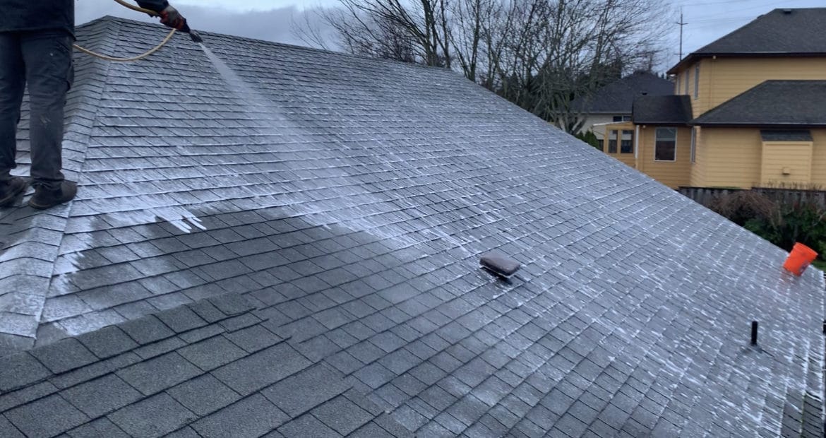 Roof Moss Removal In Bellevue