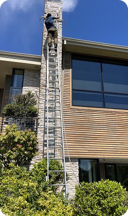 Close up of cleaning green moss for clean roof using roof cleaning brush