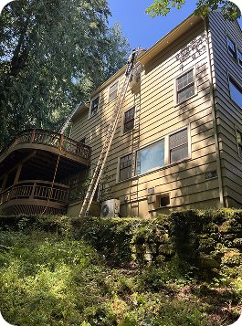 ladder roof cleaning