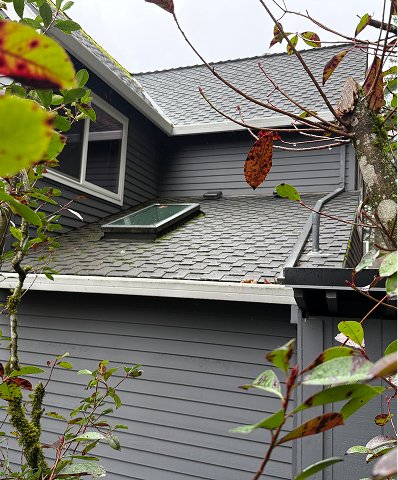 clean-home-with-clean-roof