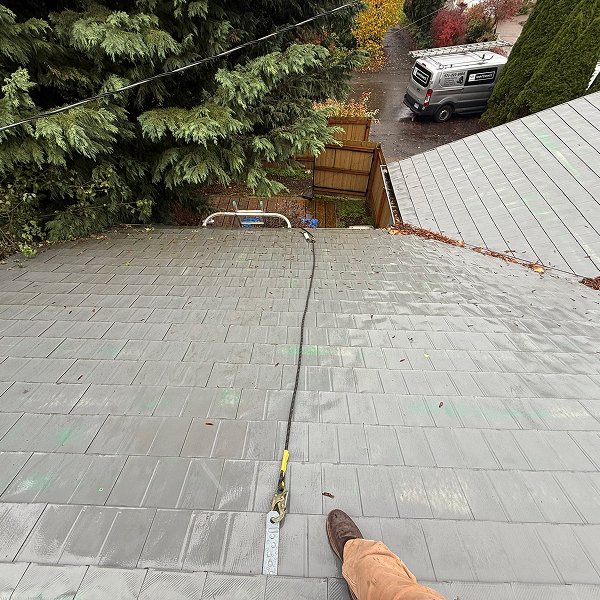 clean-moss-free-roof