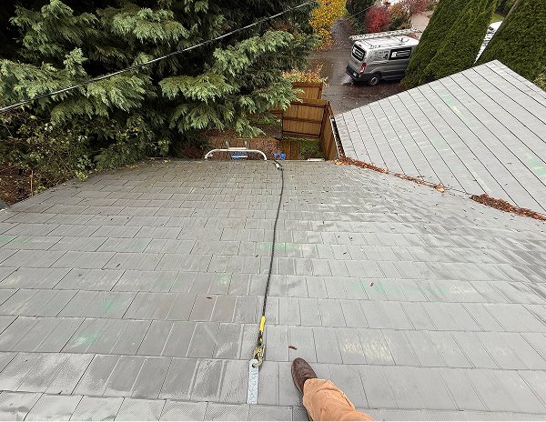 clean-moss-free-roof