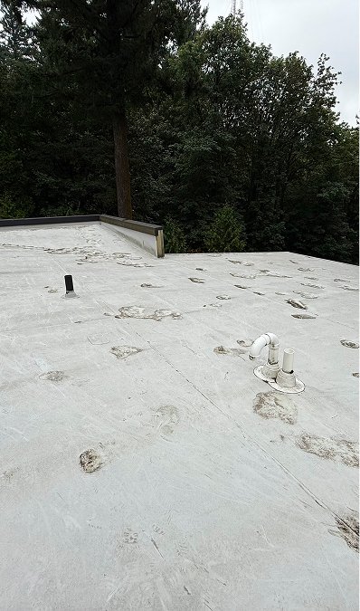 cleaned-roof-after-picture