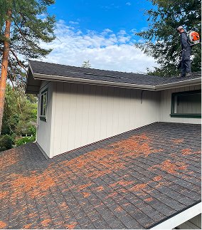 cleaning-roof-using-roof-cleaning-tools