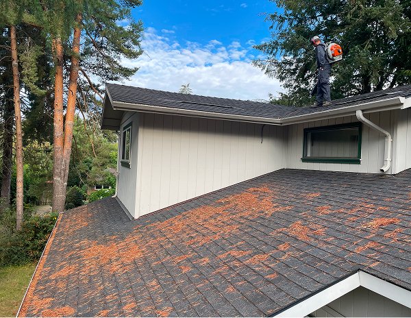 cleaning-roof-using-roof-cleaning-tools