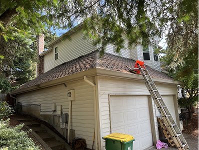 during-gutter-cleaning-by-nw-shine