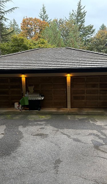 home-with-moss-free-roof