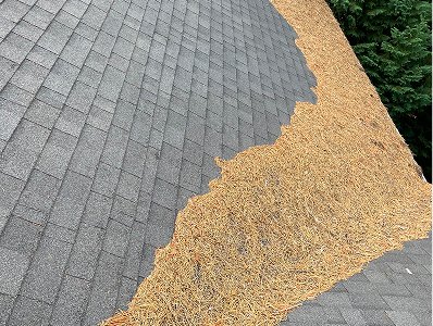 moss-dirt-collection-from-roof