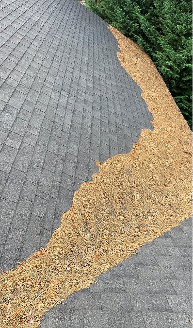 moss-dirt-collection-from-roof