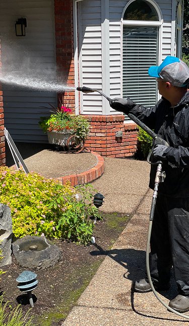 pressure-washing-moss-off-wall