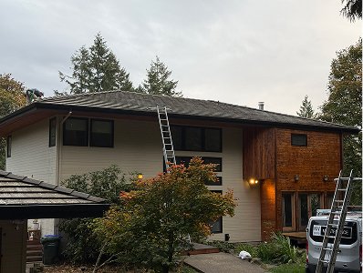 process-of-cleaning-moss-using-ladder