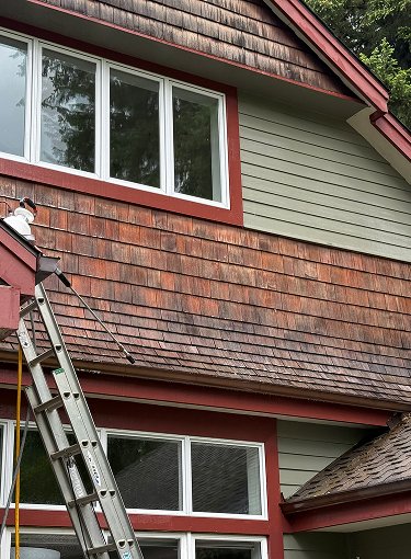 process-of-removing-moss-using-ladder