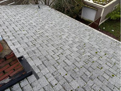 removing-moss-off-roof