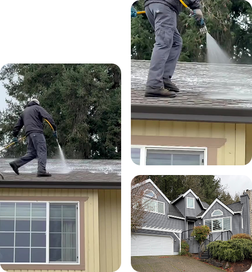 roof-cleaning-photos