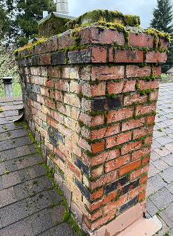IMG_1619 5