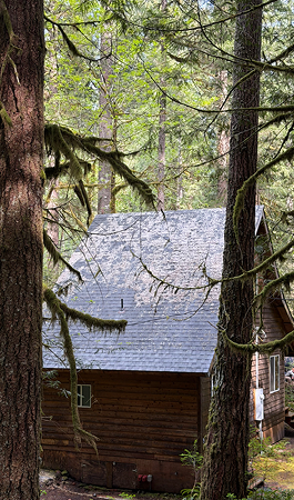 roof-cleaning-service-on top