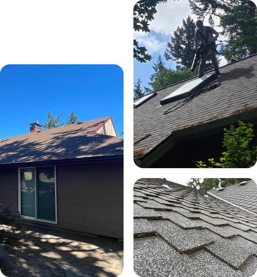 group-roof-cleaning